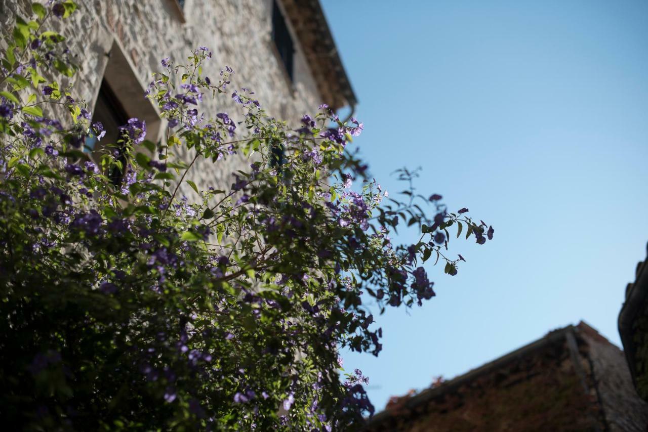 Carpe Diem Tourrettes-sur-Loup Exterior photo